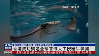 最新版本-包含香港叔岳联队成功逆转，打破劣势的词条