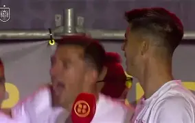 沙克尔主帅因失意辞职，引发球队危机的简单介绍